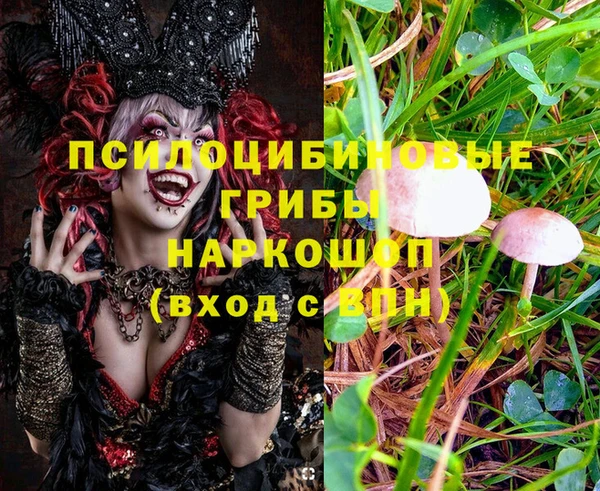 наркотики Киреевск