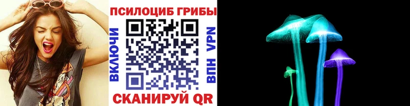 купить наркотик  Котельники  Галлюциногенные грибы MAGIC MUSHROOMS 