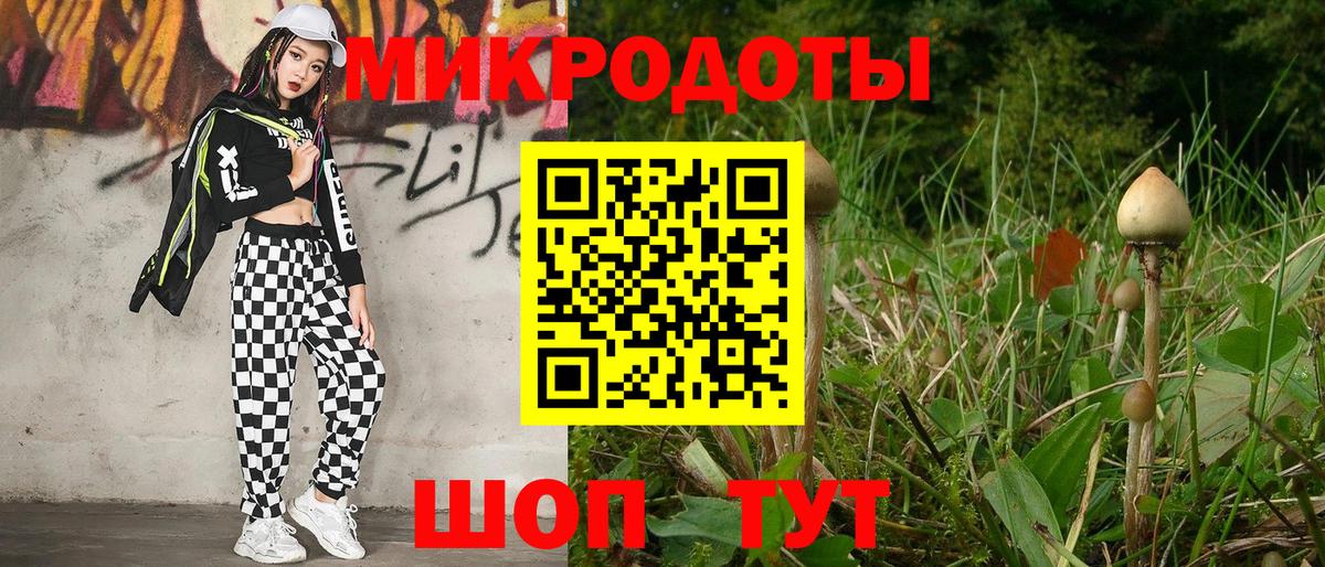Котельники  Псилоцибиновые грибы Psilocybe  Вход с VPN  Псилоцибиновые грибы Magic Shrooms 