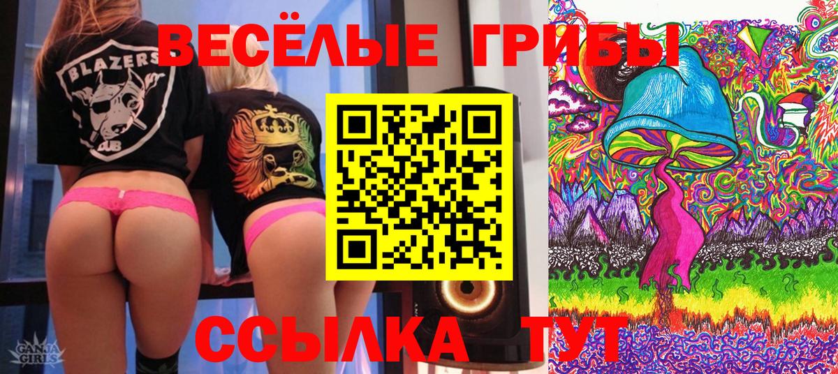 Галлюциногенные грибы Magic Shrooms Котельники